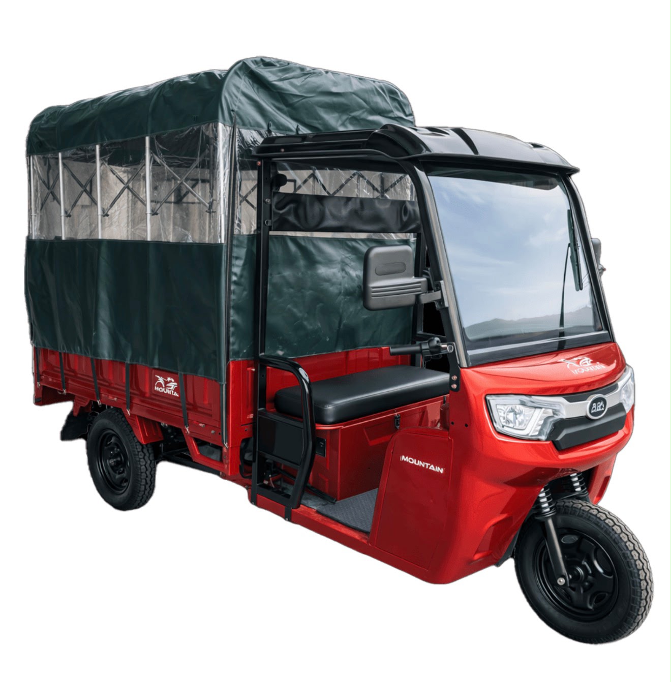 Carritos eléctricos — imagen provisional